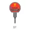 BT module